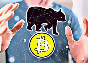 bitcoin price bear market august 2022