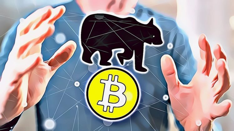 bitcoin price bear market august 2022