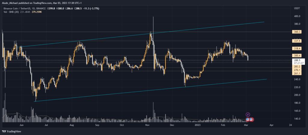 binance coin bnb