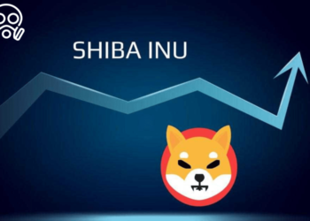 SHIBA-INU-SHIB-SHIB-PRICE 1