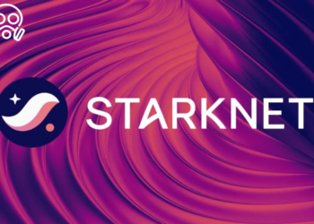 Starknet-stark-Criticism 1