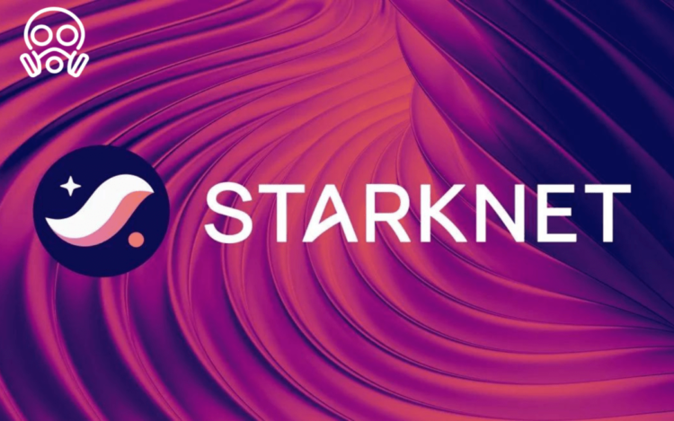 Starknet-stark-Criticism 1