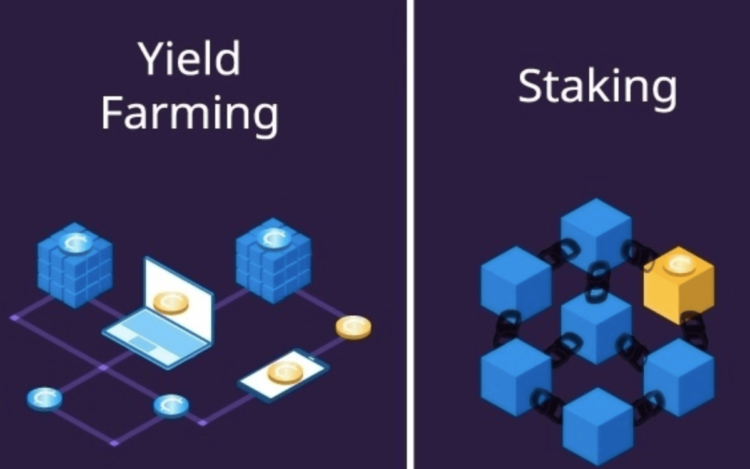 yield-farming-staking 1