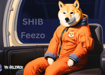 SHIBA INU-SHIB-FEEZO 1