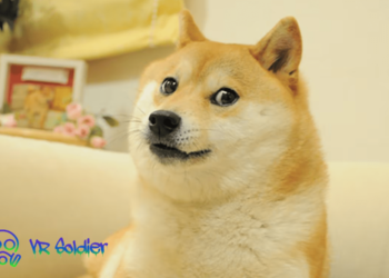 Dogecoin sentiment decline DOGE 1