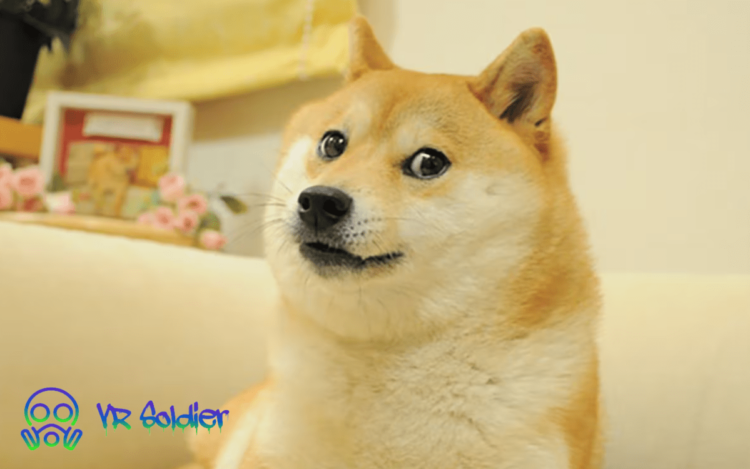 Dogecoin sentiment decline DOGE 1