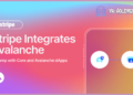 Payment Giant Stripe Integrates Avalanche AVAX How the Healix Initiative is Changing the Healthcare Game 1
