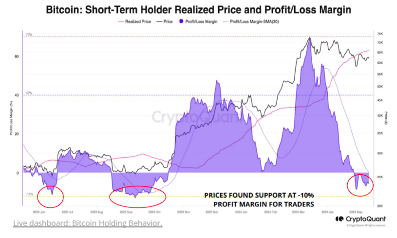 Realized Bitcoin price by short-term holders and profit/loss margin. Source: CryptoQuant