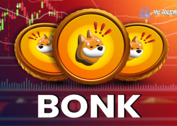 bonk -memecoin-crypto 1