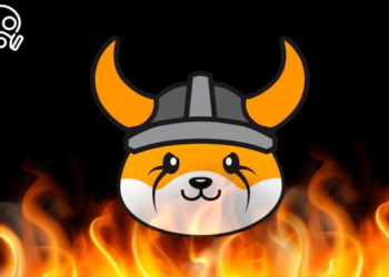 floki inu-token-burn-billion