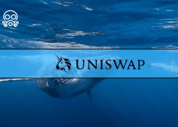 uniswap_whale_cover