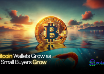 Bitcoin Wallets Grow as Small Buyers Grow