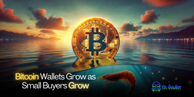 Bitcoin Wallets Grow as Small Buyers Grow