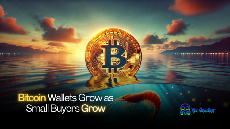 Bitcoin Wallets Grow as Small Buyers Grow