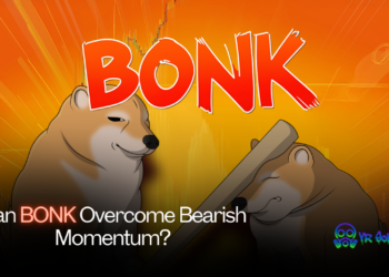 Can BONK Overcome Bearish Momentum?