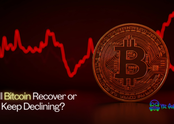 Will Bitcoin Recover or Keep Declining