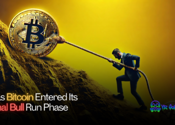 Has Bitcoin Entered Its Final Bull Run Phase