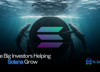 Are Big Investors Helping Solana Grow