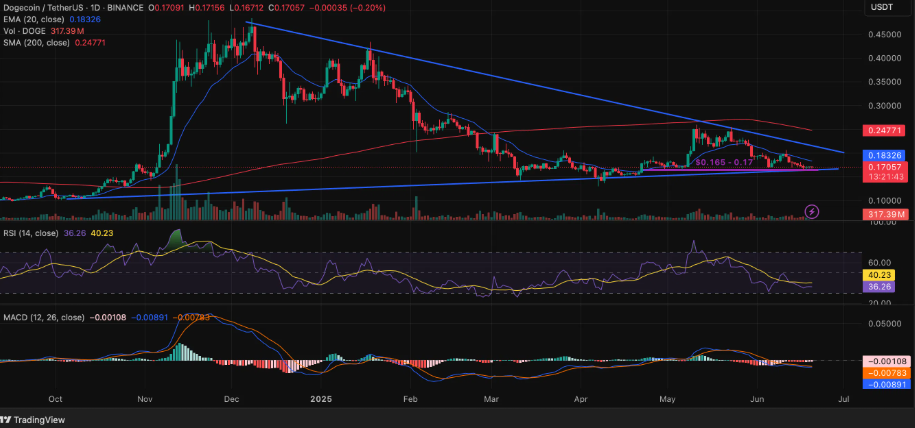 dogecoin