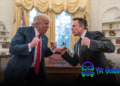 Trump vs Elon Musk: Bitcoin Dips as Tesla Crashes