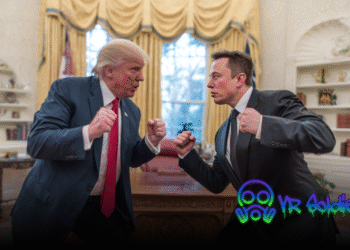 Trump vs Elon Musk: Bitcoin Dips as Tesla Crashes