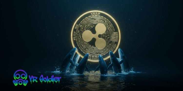 XRP Eyes $3.03 As Whale Sends $73M to Coinbase, Correction Coming?